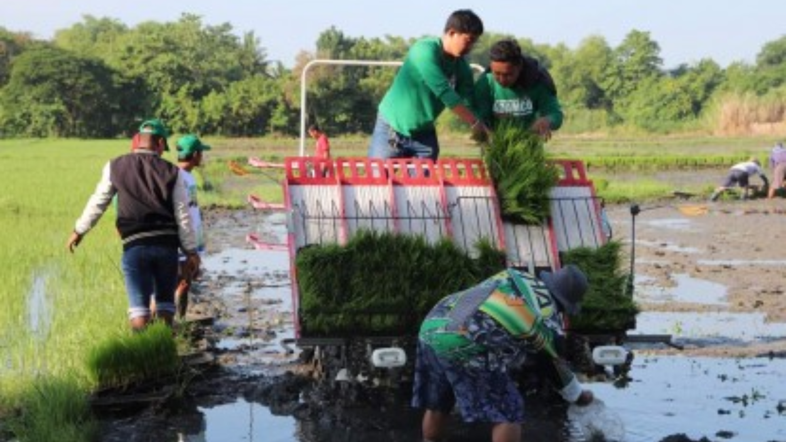 Pangasinan pinaigting ang suporta para sa mga benepisyaryo ng corporate farming
