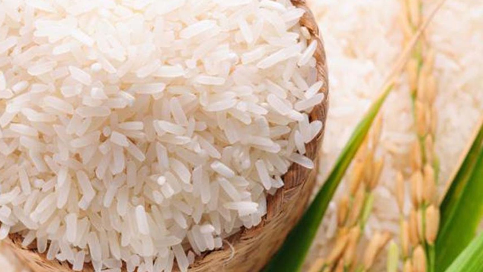 Marcoleta, may banat sa produksyon ng bigas