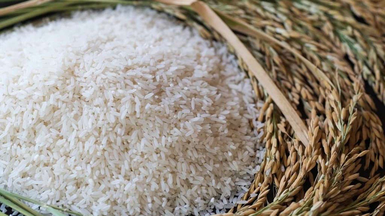 P20 na bigas, mabibili na sa lahat ng lugar sa bansa —DA