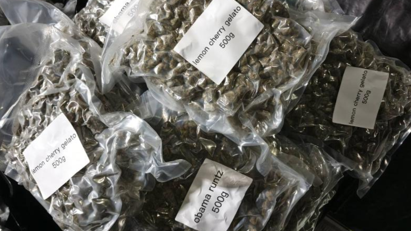 ₱640M na halaga ng marijuana, nasabat sa Manila Port