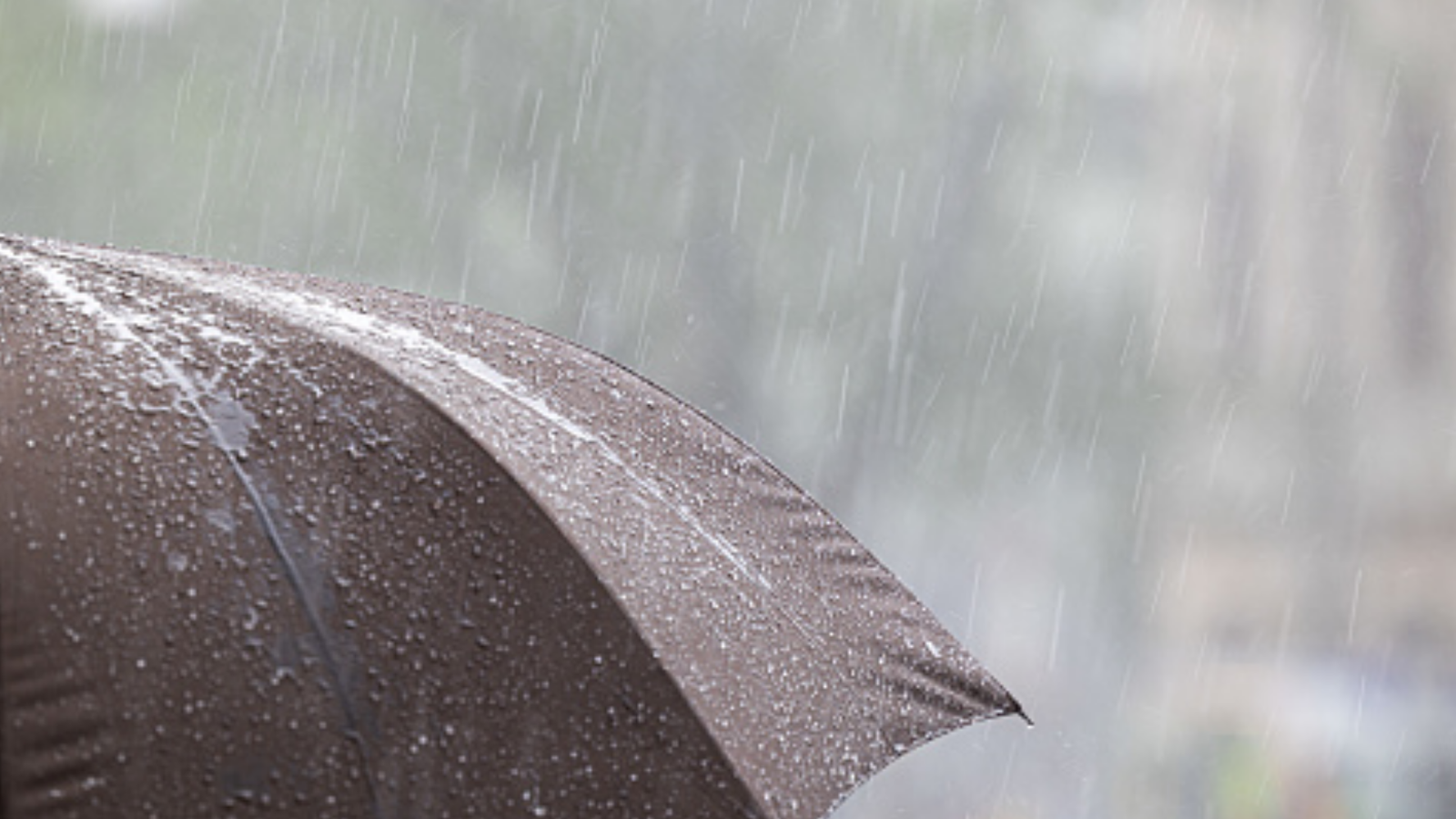 Amihan magdadala ng mahinang ulan sa hilagang Luzon